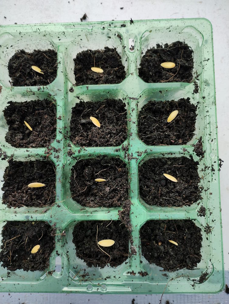 click to see larger image making raised beds and bird feeders at the newbold community growing together community garden