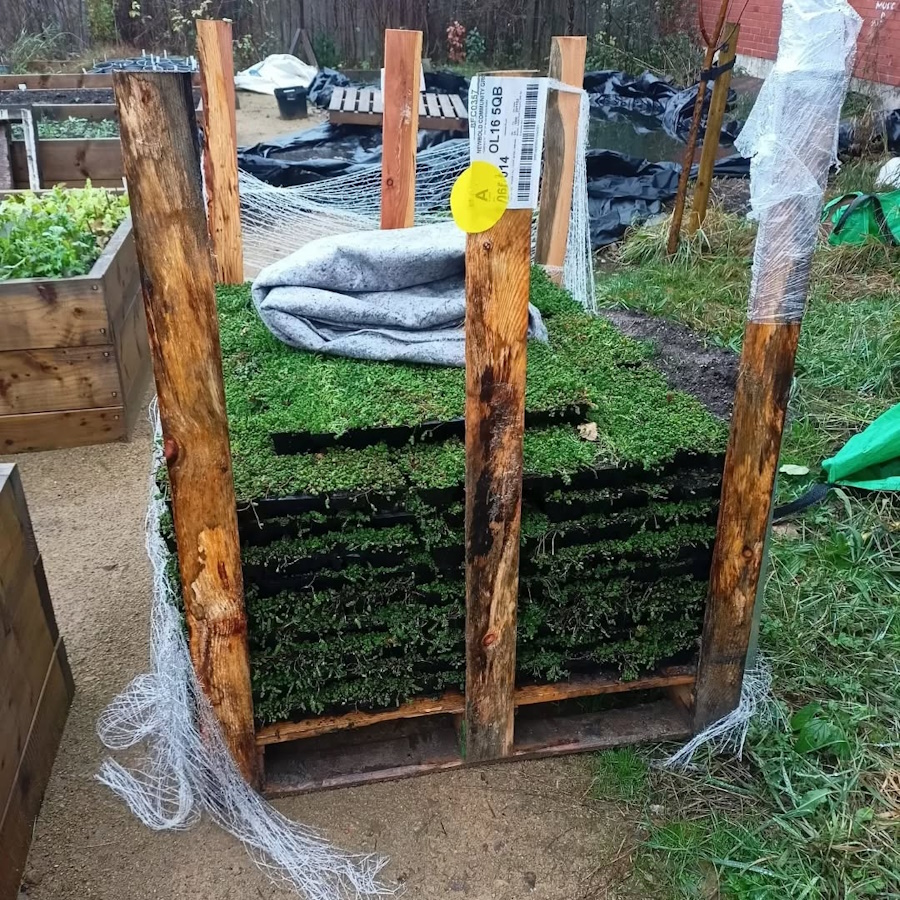 click to see larger image cleared out the polytunnel