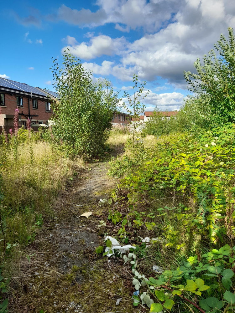 click to see larger image the derelict land at the start of the work
