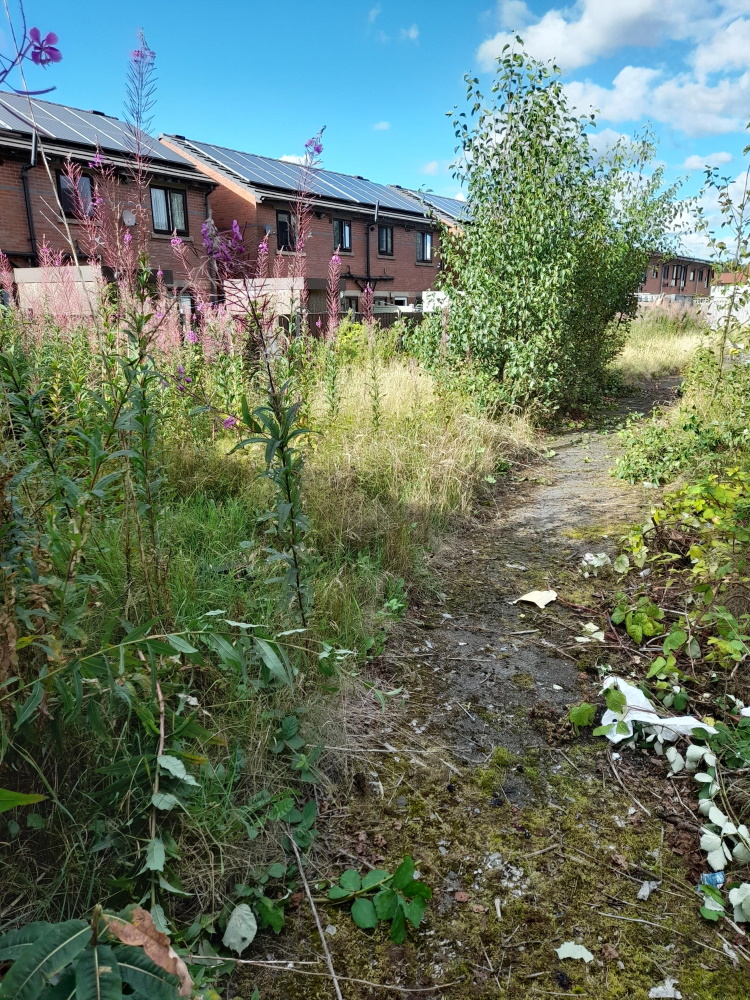 click to see larger image the derelict land at the start of the work