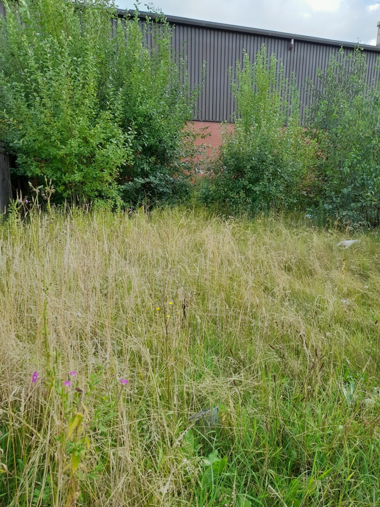 click to see larger image the derelict land at the start of the work