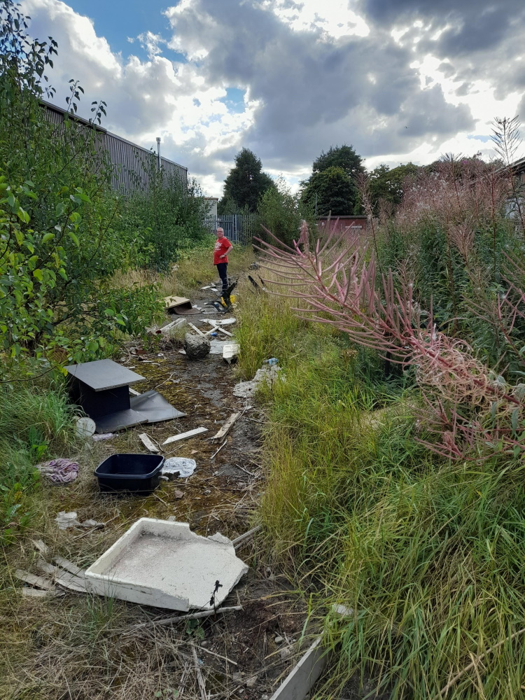 click to see larger image the derelict land at the start of the work