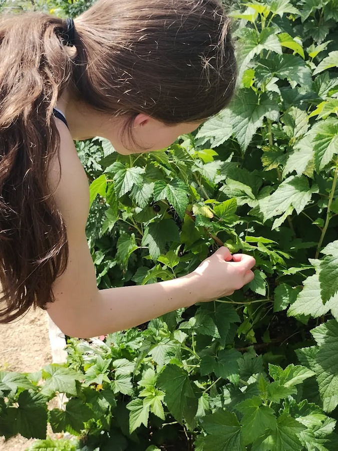 click to see larger image Enjoying the flowers in the Community Garden.