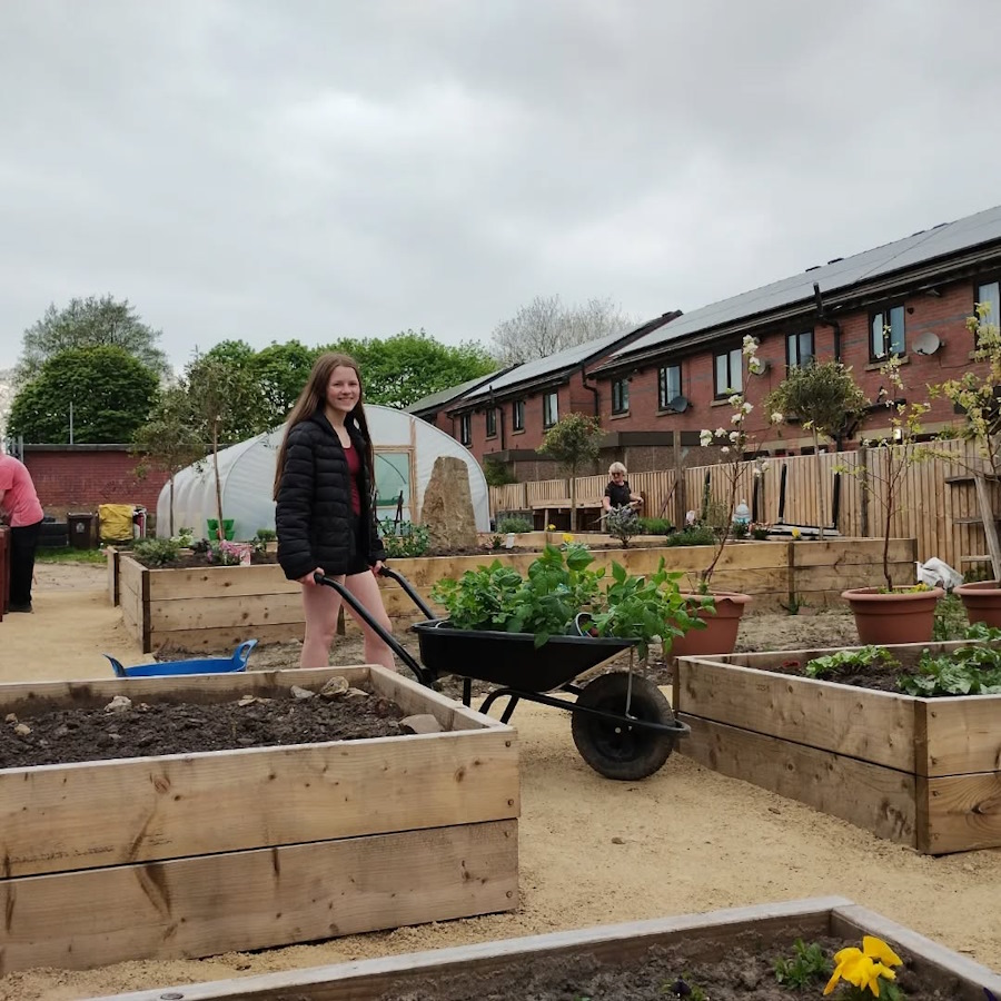 click to see larger image fruit bushes planted at the newbold community growing together community garden
