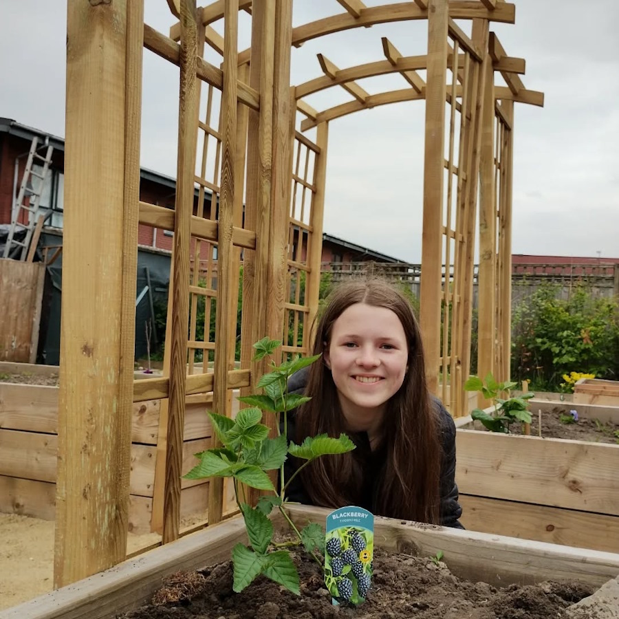 click to see larger image fruit bushes planted at the newbold community growing together community garden