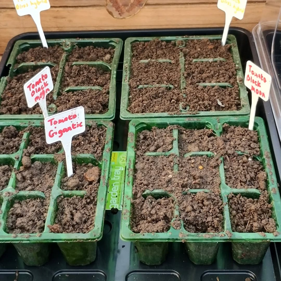 click to see larger image Herbs, Tomayoes, Peas, Beans and Potatoes