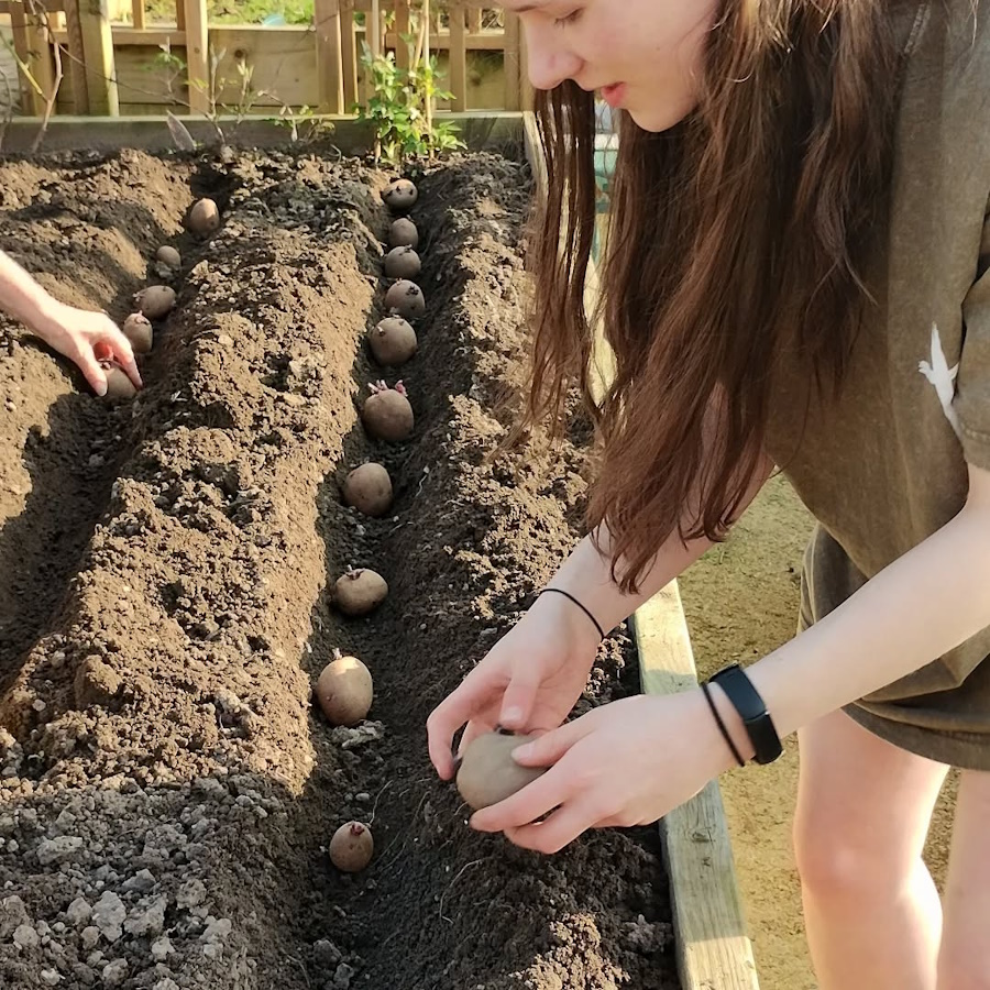 click to see larger image Herbs, Tomatoes, Peas, Beans and Potatoes