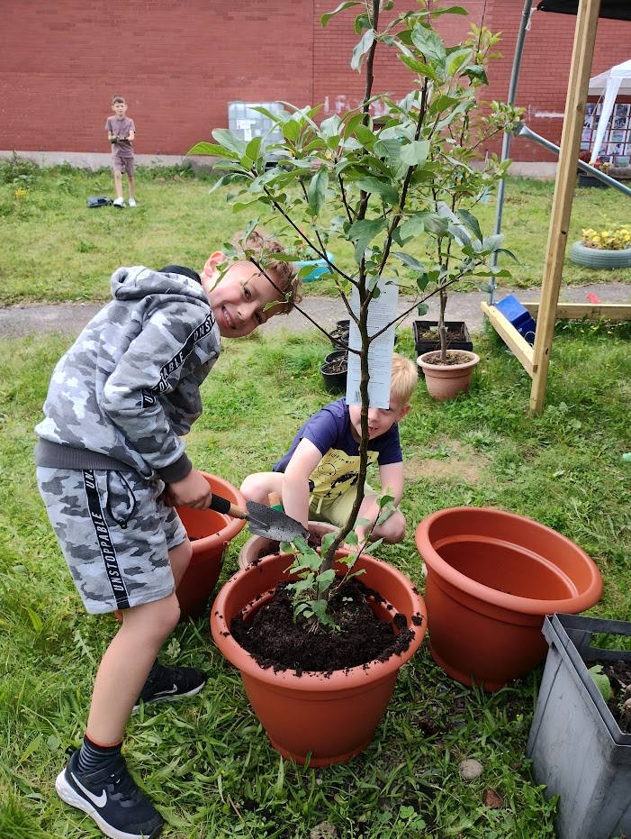 click to see larger image in the garden