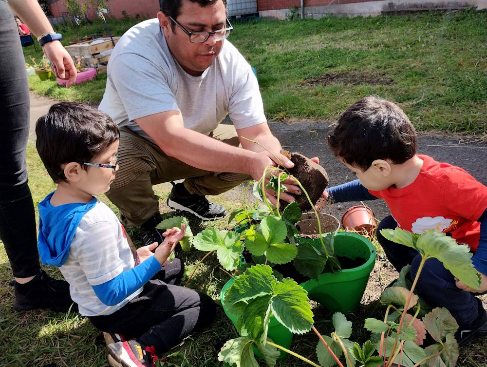 click to see larger image last week of summer activities at the community garden