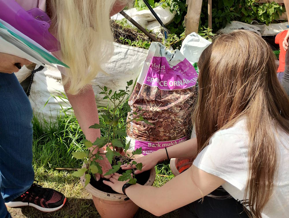 click to see larger image last week of summer activities at the community garden