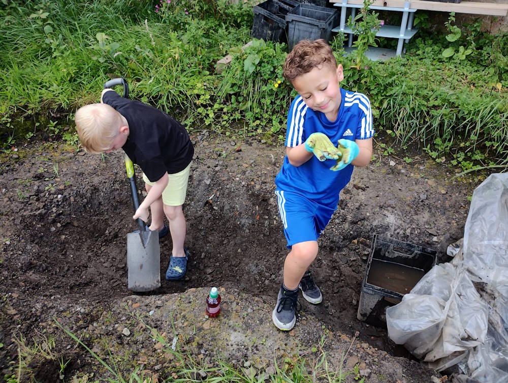 click to see larger image lovely day in the community garden
