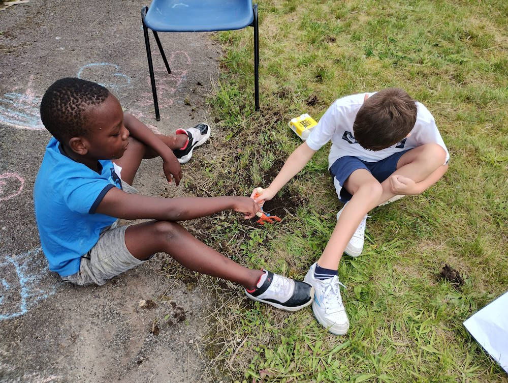 click to see larger image lovely day in the community garden
