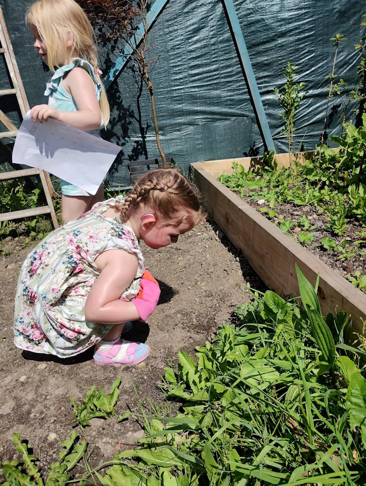 click to see larger image new planter for the community garden