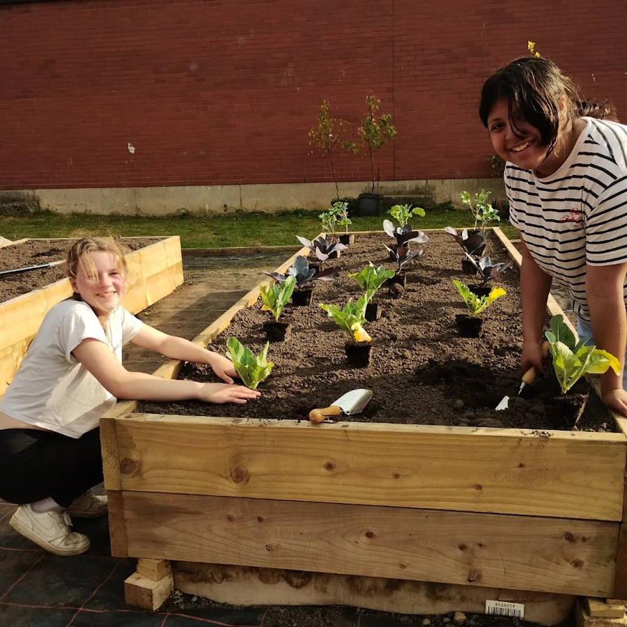 click to see larger image many hands make light work in the community garden