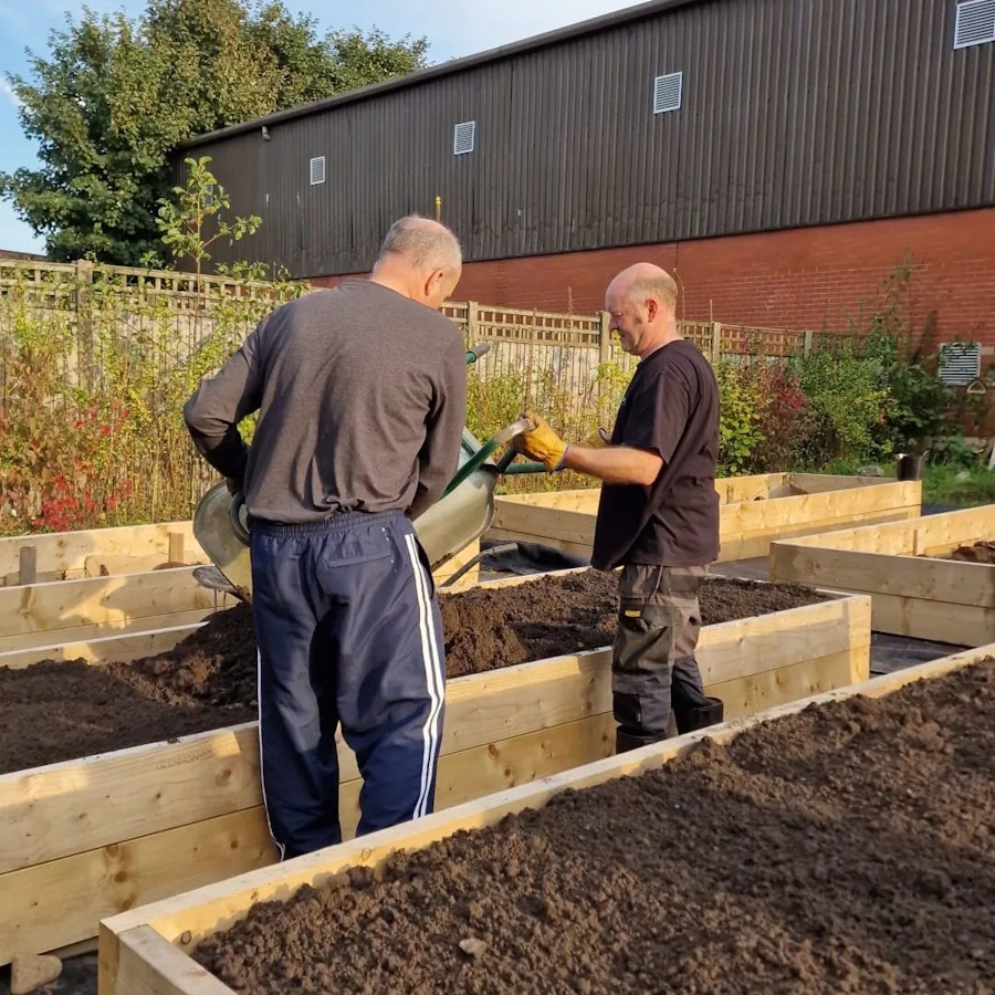 click to see larger image more barrowing of compost in the community garden