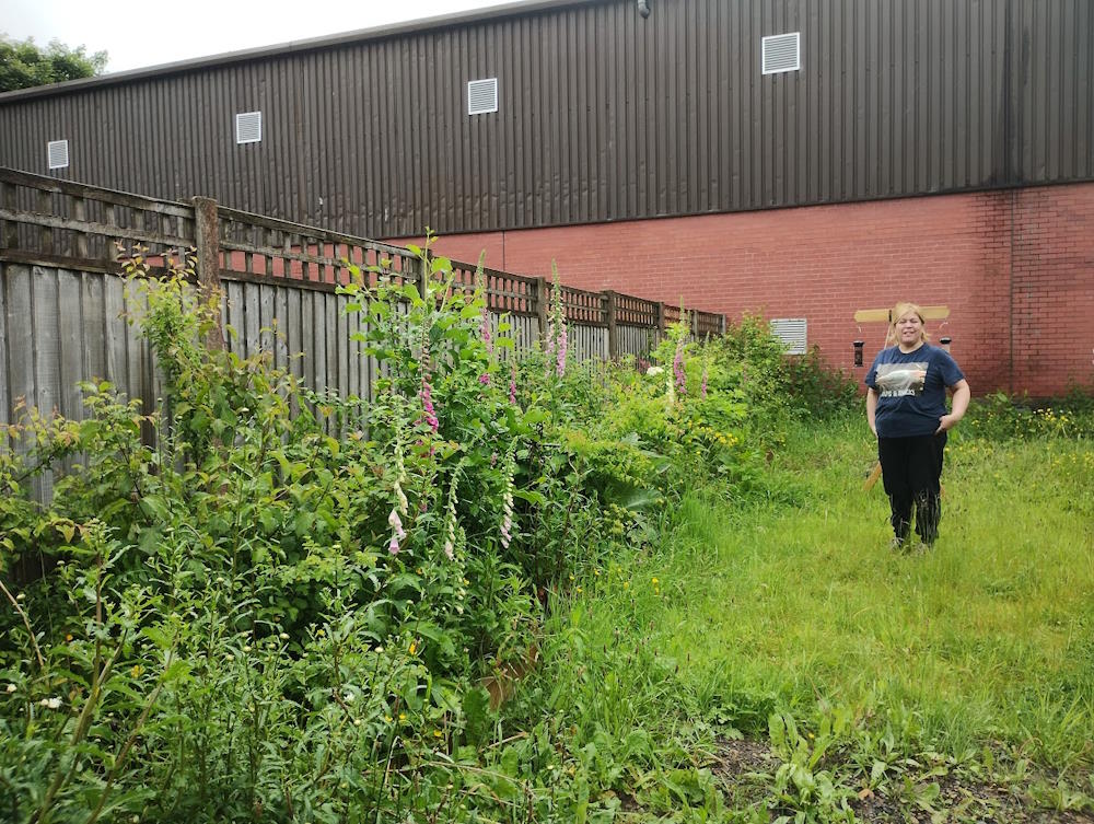 click to see larger image native hedge at the community garden