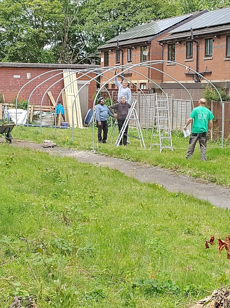 click to see larger image clearing the site