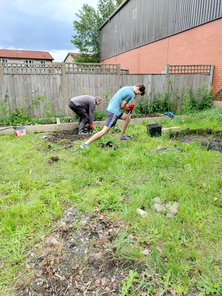 click to see larger image clearing the site