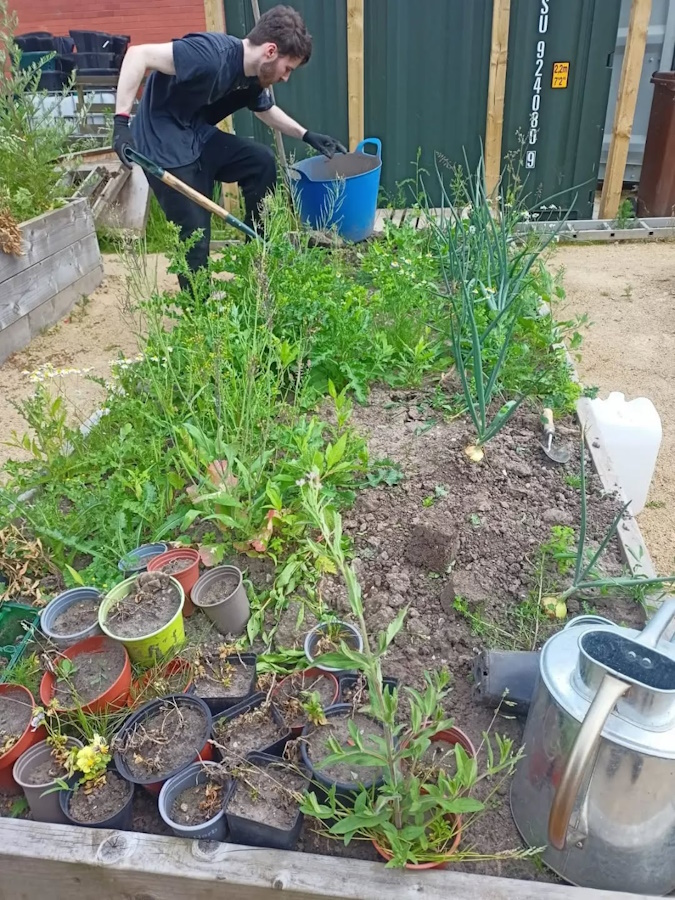 click to see larger image The Insects enjoying the Community Garden.